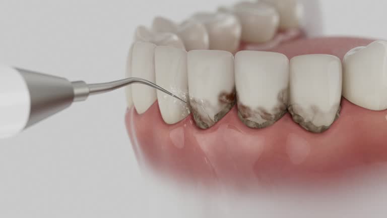 Reliable Dental contractor in Rawls Springs, MS by Dentist Open Now
